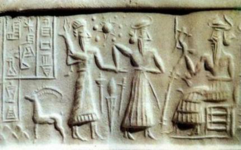 Orkisz , mini donuts i dziwny rozwój naszej cywilizacji. cz. 2